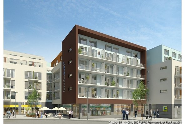 Studiosus 3 München